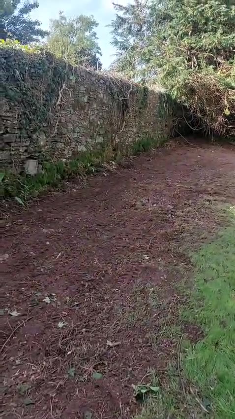 Site Clearance in Co. Cork — by Hillview Landscapes